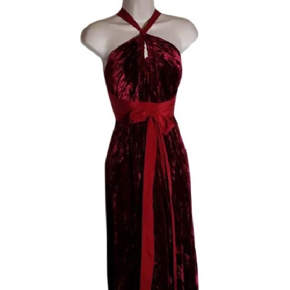 NWT BCBGMaxAzria Maroon Velvet Crossback Dress